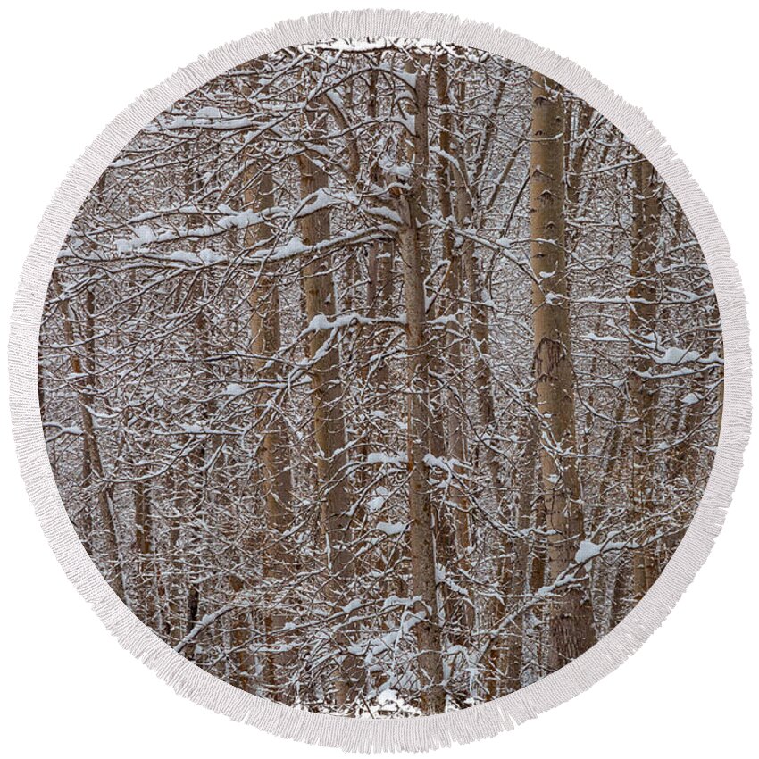 Landscape Round Beach Towel featuring the photograph Winter Scene by Jonathan Nguyen