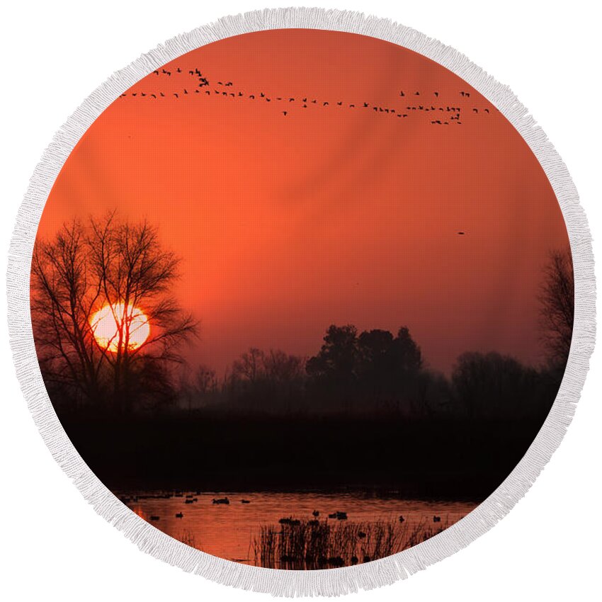 Wetlands Round Beach Towel featuring the photograph Winter Sunrise by Kathleen Bishop