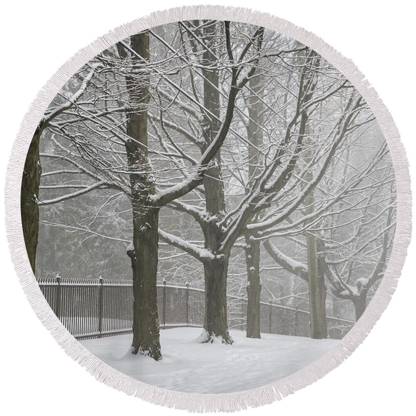 Road Round Beach Towel featuring the photograph Winter trees and road by Elena Elisseeva