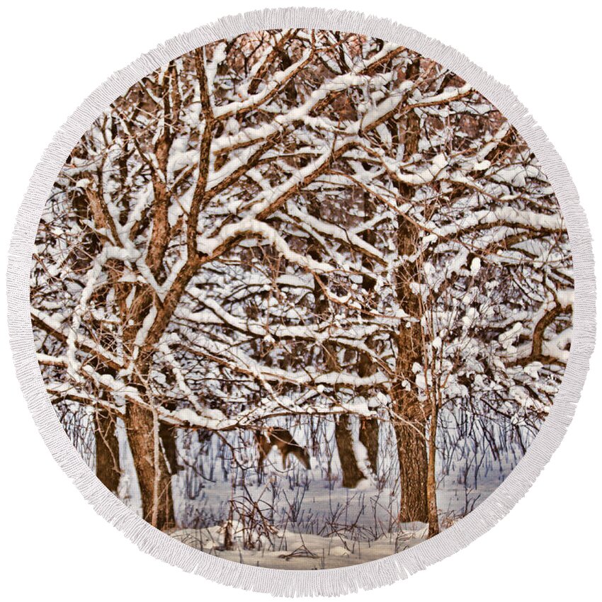 Whitetail Deer Round Beach Towel featuring the photograph Winter's Arrival by Elizabeth Winter
