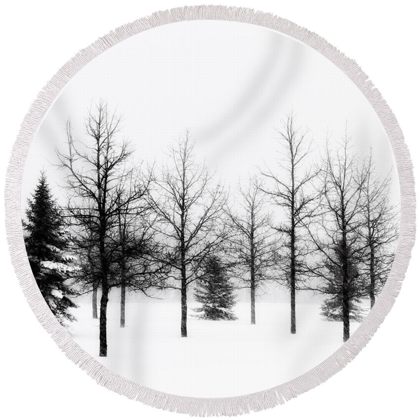 Black Round Beach Towel featuring the photograph Winter's bareness II by Lori Dobbs