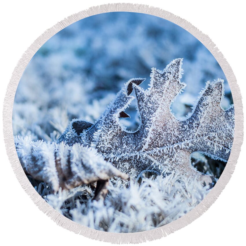 Ice Round Beach Towel featuring the photograph Winter's Icy Grip by Parker Cunningham