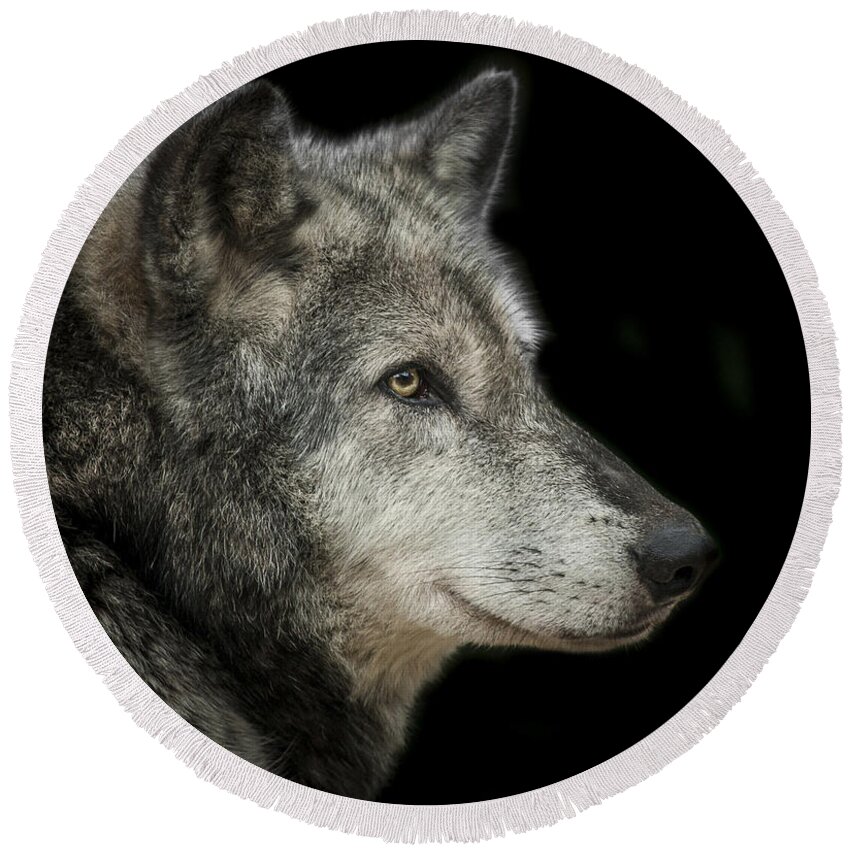 Wolf Round Beach Towel featuring the photograph Wolf by Paul Neville