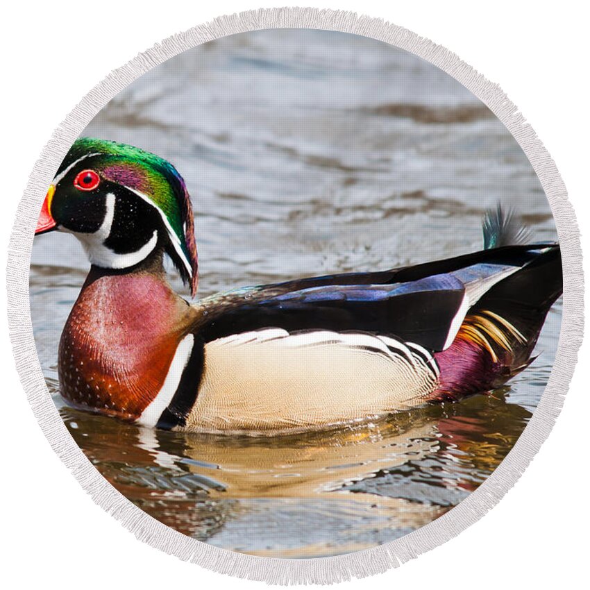 Wood Duck Round Beach Towel featuring the photograph Wood Duck Profile by Cheryl Baxter