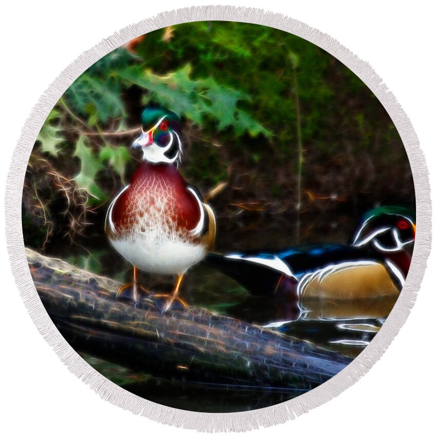 Wood Duck Round Beach Towel featuring the photograph Wood Ducks Hanging Out by Athena Mckinzie