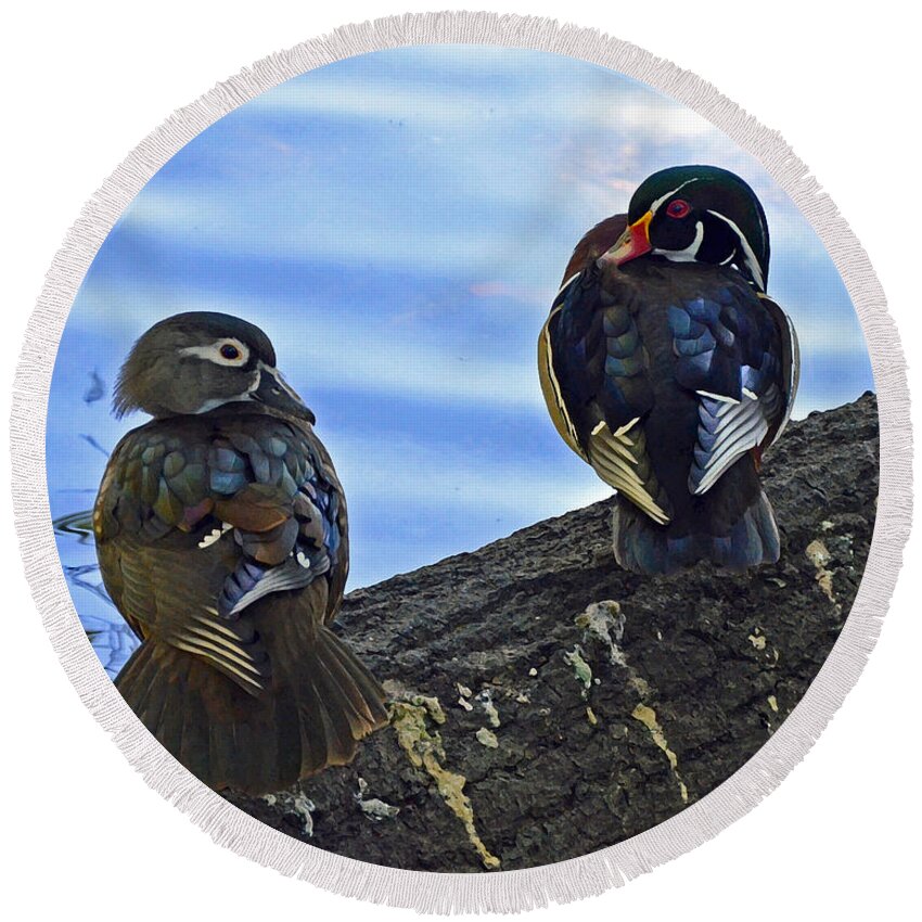 Wood Ducks Round Beach Towel featuring the photograph Wood you love me forever by Robert Meanor
