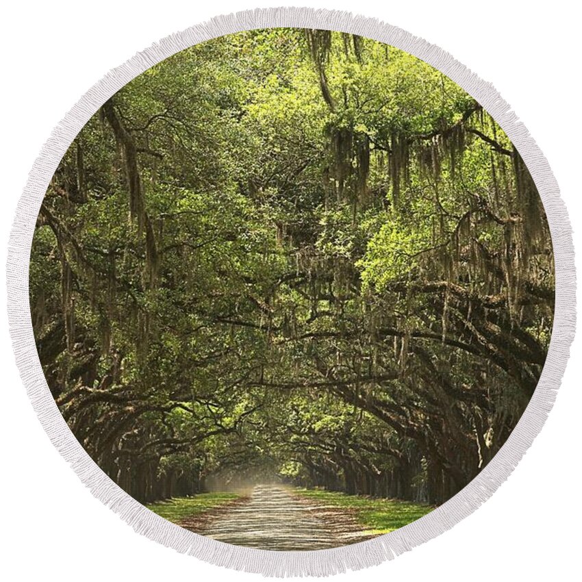 Avenue Of The Oaks Round Beach Towel featuring the photograph Wormsloe Avenue Of The Oaks by Adam Jewell