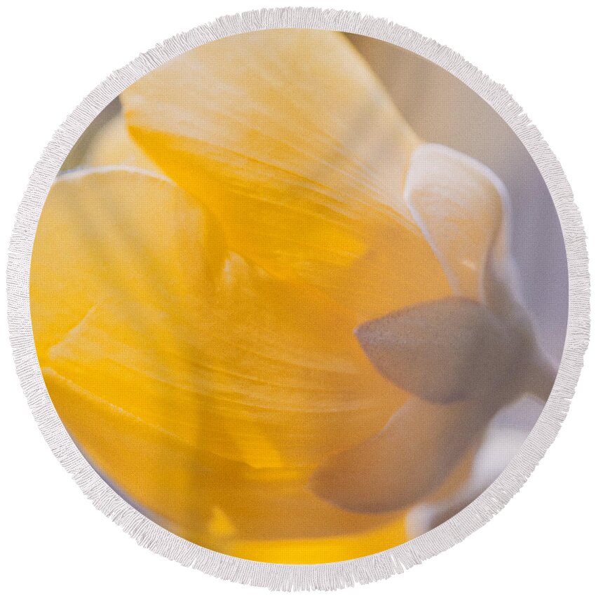Outdoor Round Beach Towel featuring the photograph Yellow Buttercup Flower by U Schade