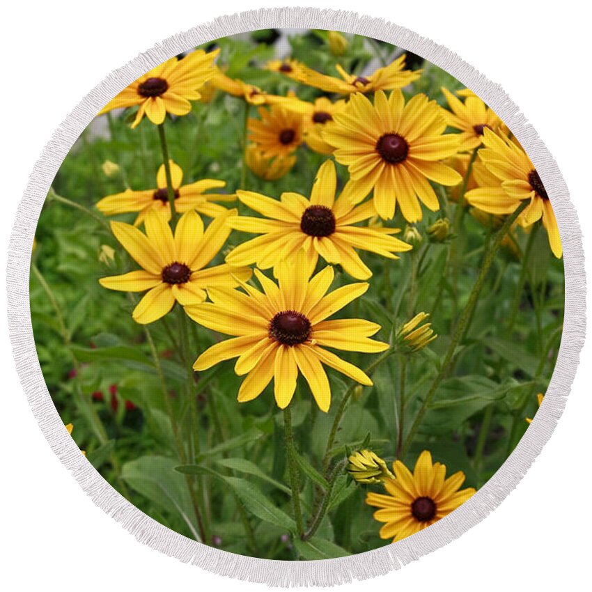 Flowers Round Beach Towel featuring the photograph Yellow Daisy Flowers #2 by Ann Murphy