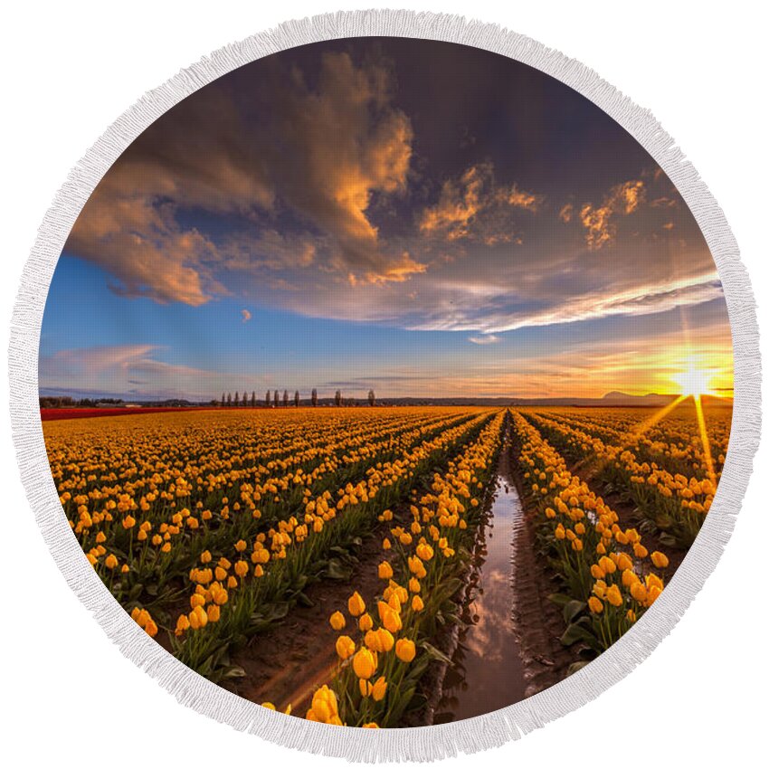 Tulip Fields Round Beach Towel featuring the photograph Yellow Fields and Sunset Skies by Mike Reid