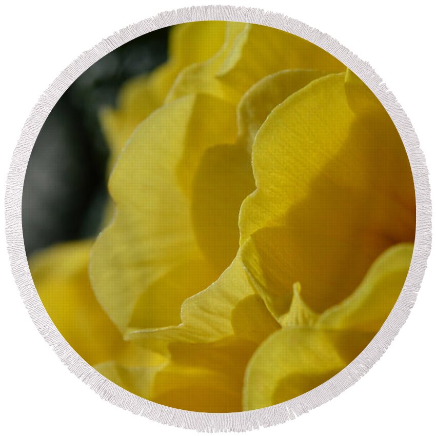 Flowers Round Beach Towel featuring the photograph Yellow Landscape by Donna Blackhall