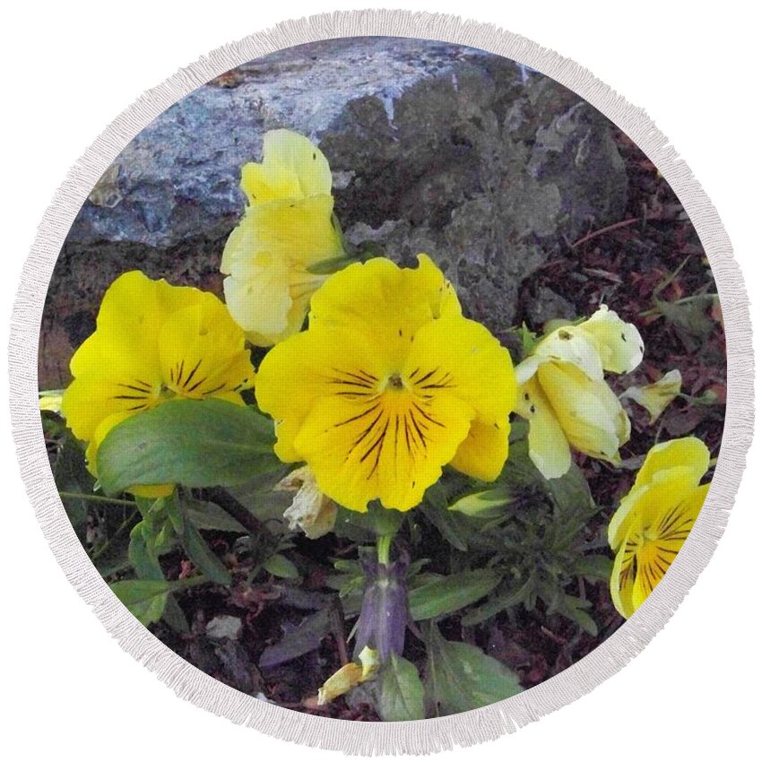 Flowers Round Beach Towel featuring the photograph Yellow Pansies by Charles Robinson