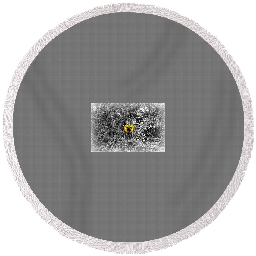 Pansy Round Beach Towel featuring the photograph Yellow Pansy by Tara Potts