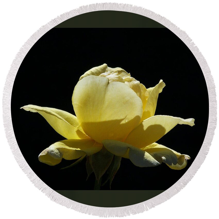 Yellow Rose Round Beach Towel featuring the photograph Yellow Rose by Ernest Echols