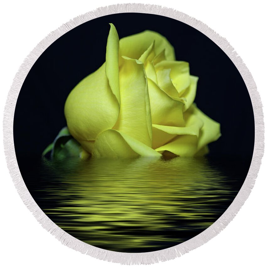 Yellow Rose Round Beach Towel featuring the photograph Yellow Rose II by Sandy Keeton