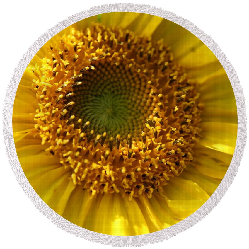 Sunflower Round Beach Towel featuring the photograph Yellow Sunshine by Neal Eslinger