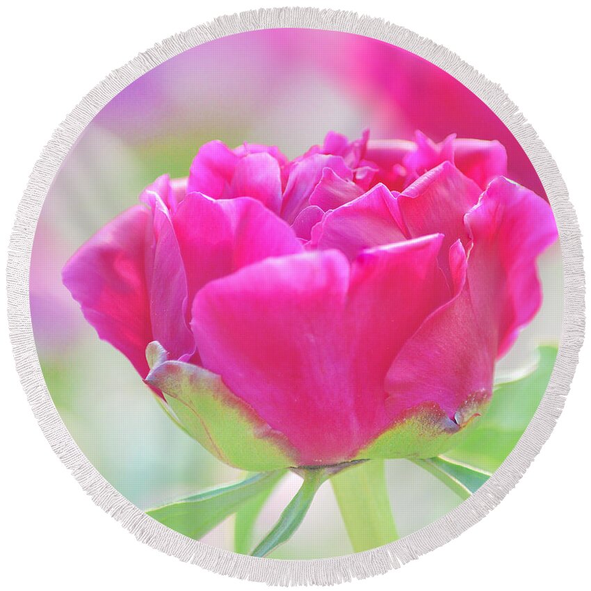 Art Round Beach Towel featuring the photograph Young Peony by Joan Han