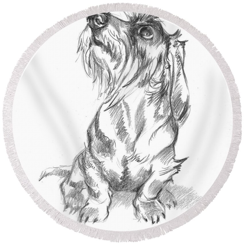 Dachshund Drawings Round Beach Towel featuring the drawing Young wire-haired dachshund looking up by Alena Nikifarava