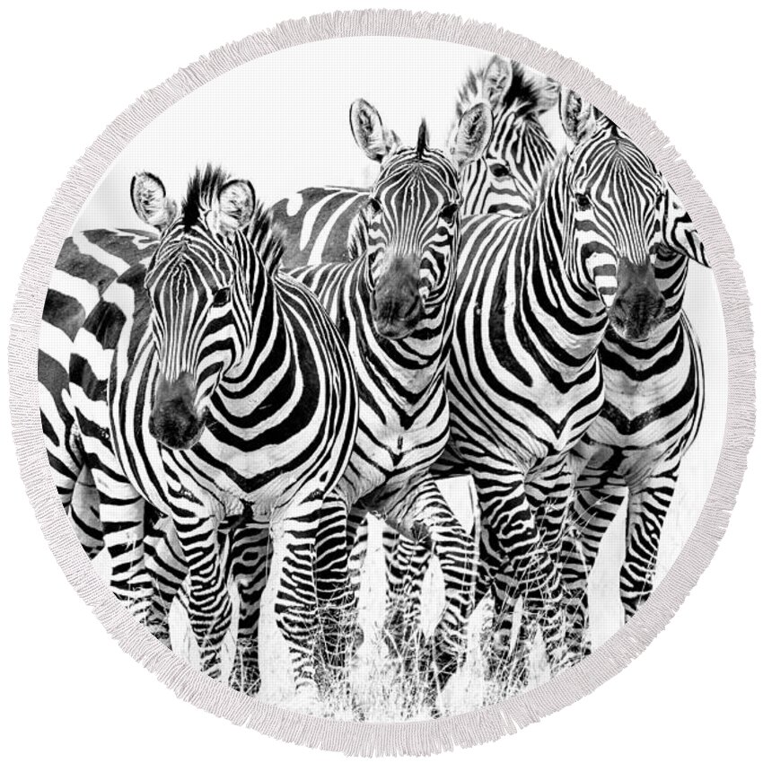 Africa Round Beach Towel featuring the photograph Zebra Quintet by Mike Gaudaur