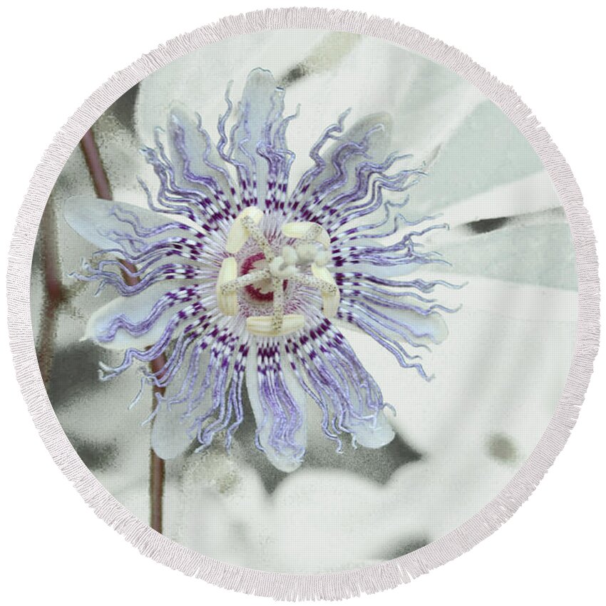 Flower Round Beach Towel featuring the photograph Passion Flower On White by Tom Wurl