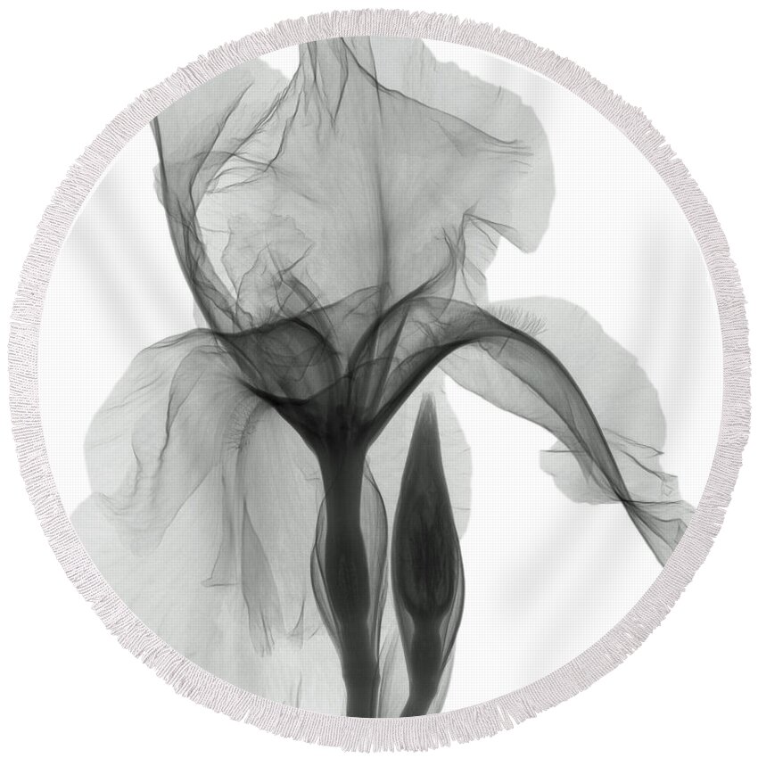 Xray Round Beach Towel featuring the photograph An X-ray Of An Iris Flower by Ted Kinsman