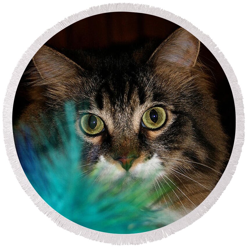 Cat Round Beach Towel featuring the photograph Blue Boa #1 by Susan Herber