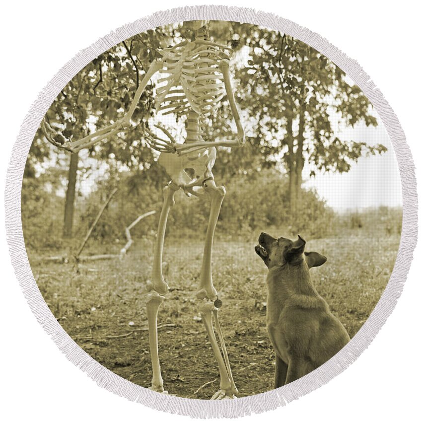 Skeleton Round Beach Towel featuring the photograph Friends #1 by Betsy Knapp