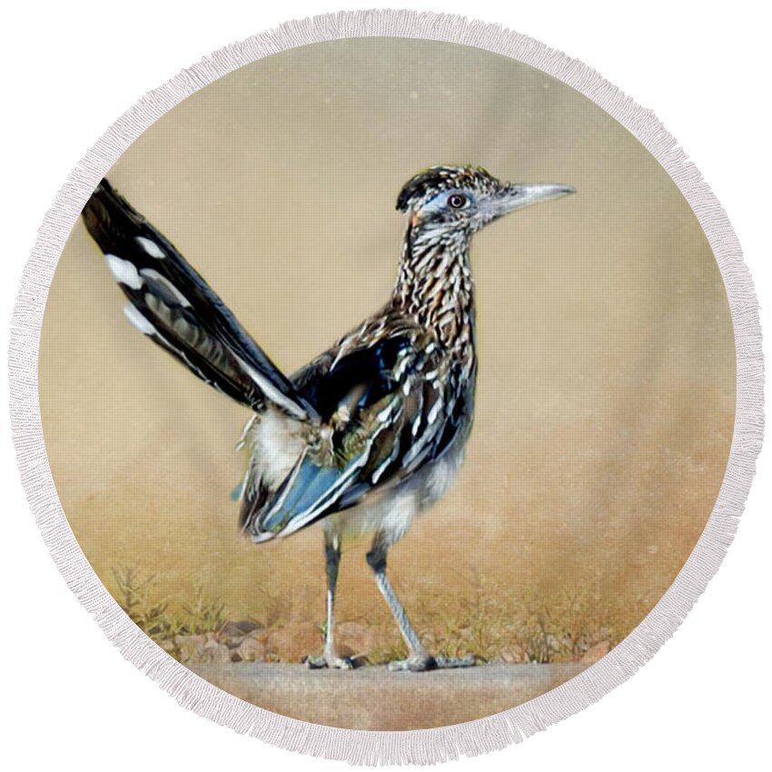 Greater Roadrunner Round Beach Towel featuring the photograph Greater Roadrunner #1 by Betty LaRue