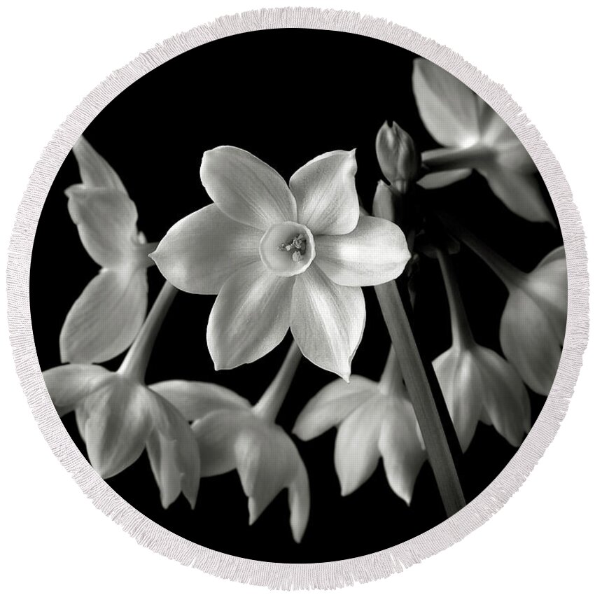 Flower Round Beach Towel featuring the photograph Narcissus in Black and White #1 by Endre Balogh