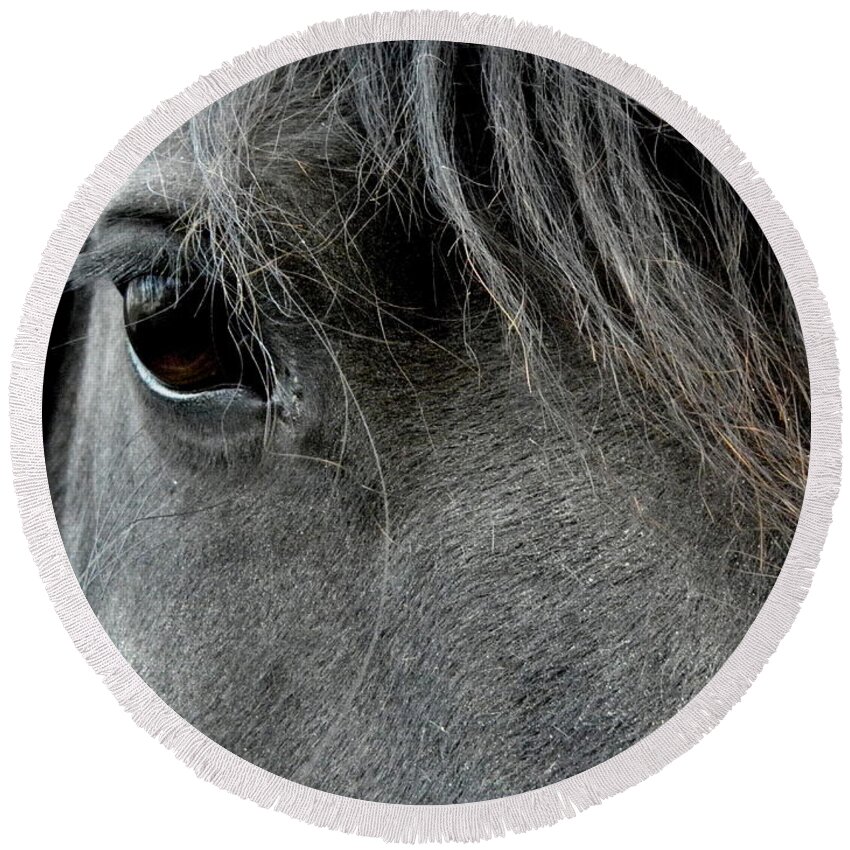 Friesian Round Beach Towel featuring the photograph Such Beauty #1 by Kim Galluzzo