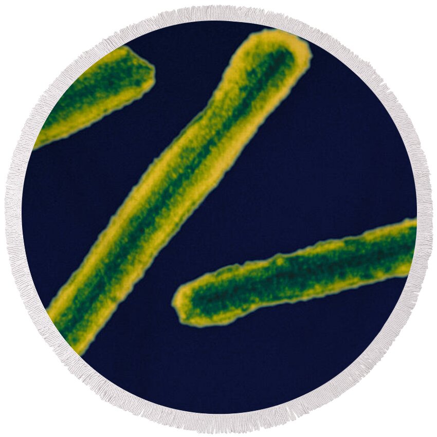 Filovirus Round Beach Towel featuring the photograph Marburg Virus, Tem #11 by Science Source