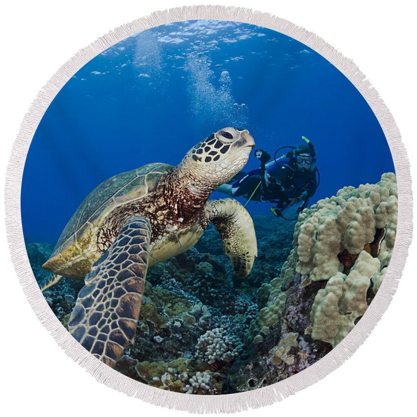 Animal Round Beach Towel featuring the photograph Green Sea Turtle #23 by Dave Fleetham - Printscapes