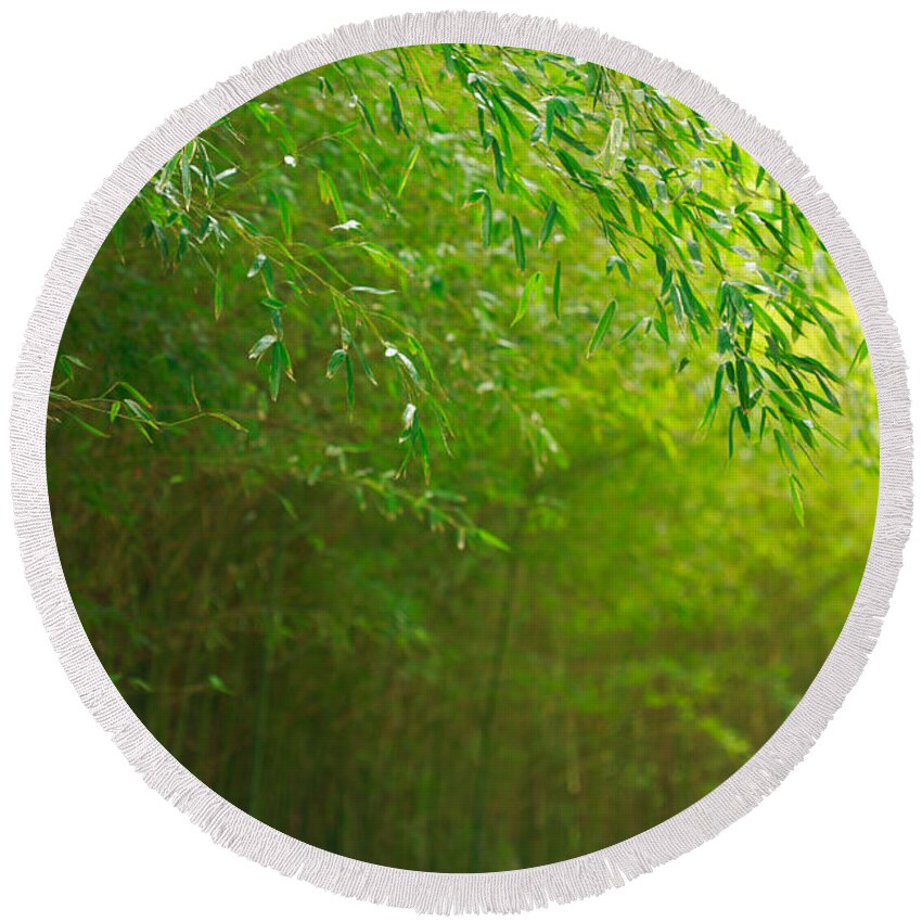 Bamboo Round Beach Towel featuring the photograph Bamboo forest #3 by Gaspar Avila