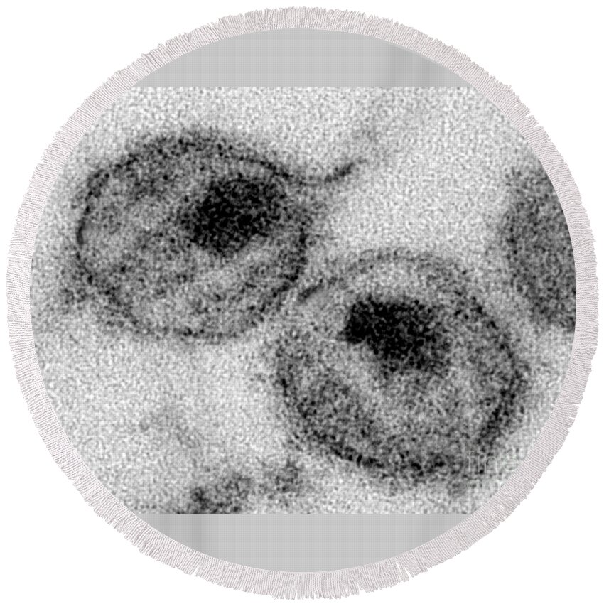 Transmission Electron Micrograph Round Beach Towel featuring the photograph Hiv #5 by Science Source