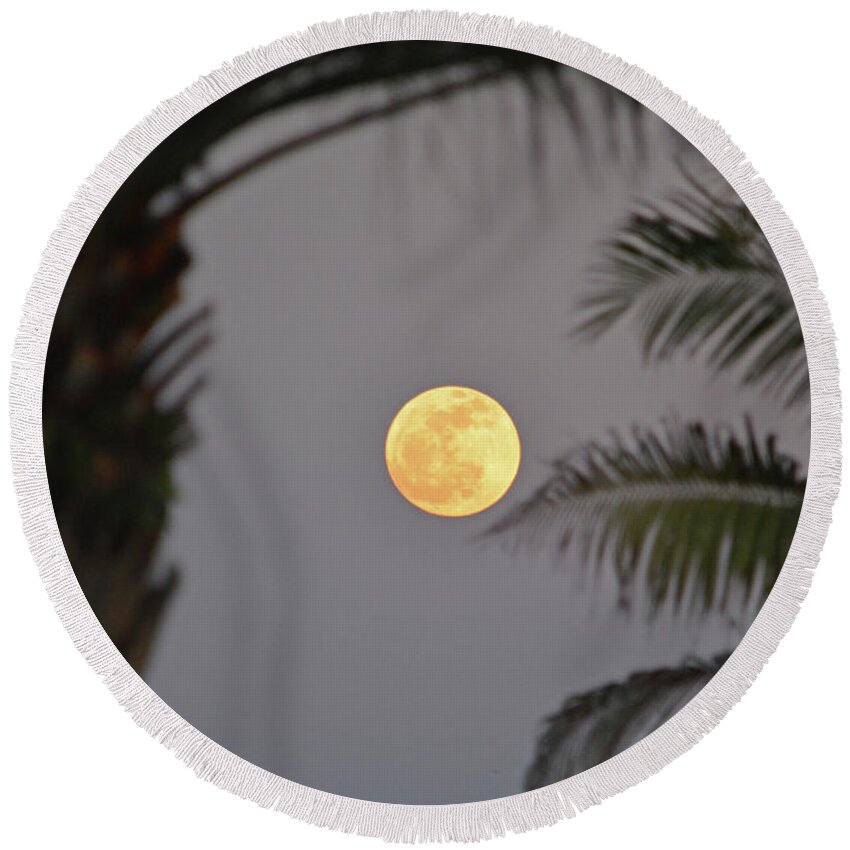 Full Moon Round Beach Towel featuring the photograph 5- Tropical Moon by Joseph Keane