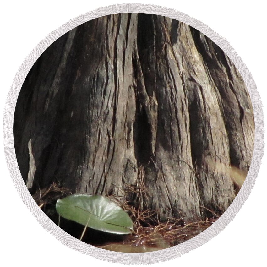 Tree Round Beach Towel featuring the photograph A Base Of The Cypress Tree by Donna Brown