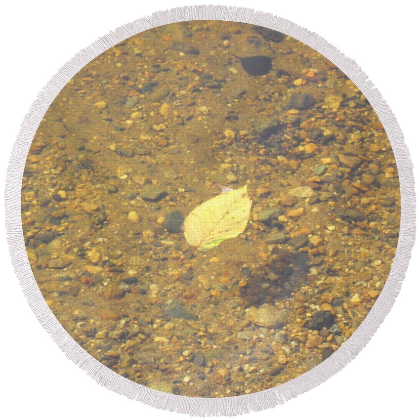 Leaf Round Beach Towel featuring the photograph A Lonely Floater by Kim Galluzzo Wozniak