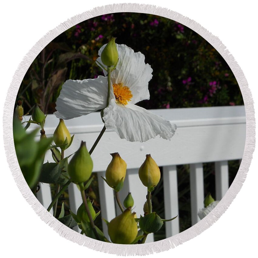 White Flower Round Beach Towel featuring the photograph A Moment in Spring by Yenni Harrison