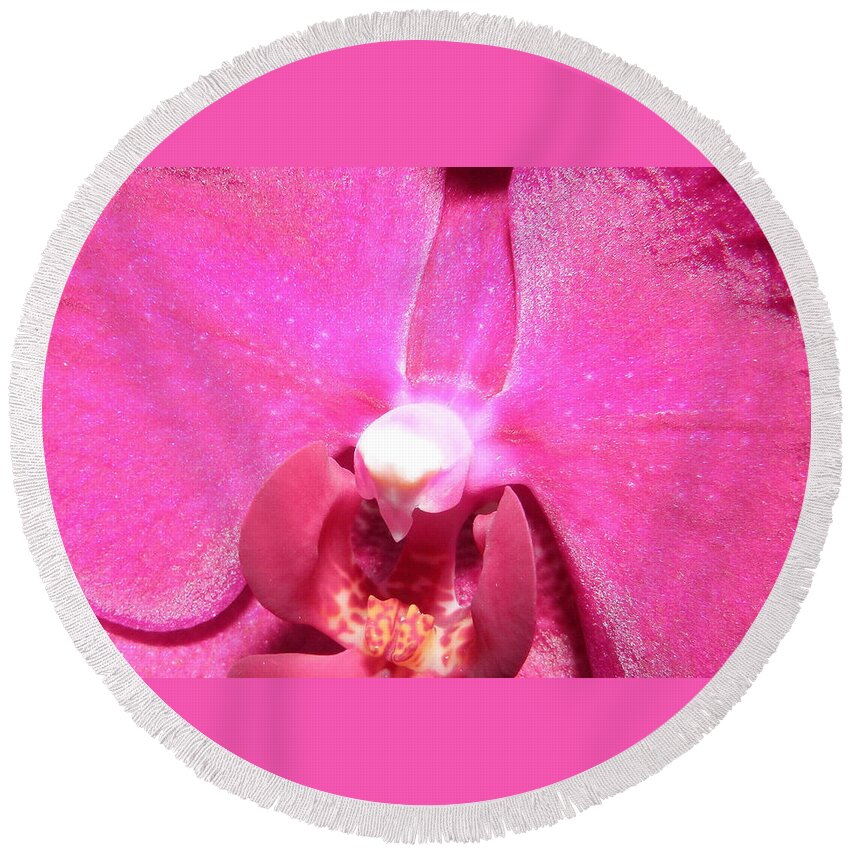 Orchid Round Beach Towel featuring the photograph Alienated Orchid by Kim Galluzzo
