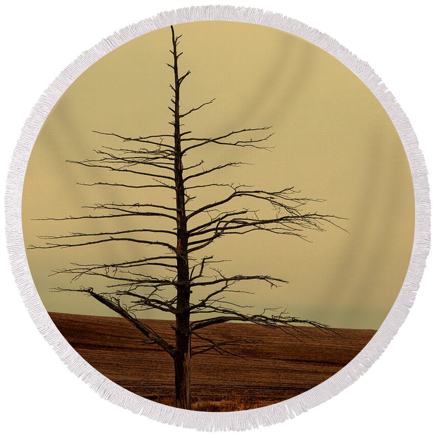 Tree Round Beach Towel featuring the photograph Alone On A Hill by Terry Doyle