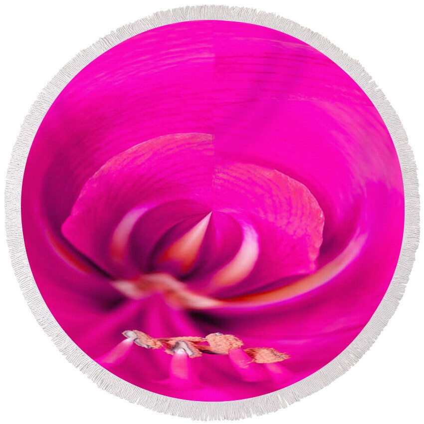 Dreamy Round Beach Towel featuring the photograph Amaryliss close-up by Les Palenik