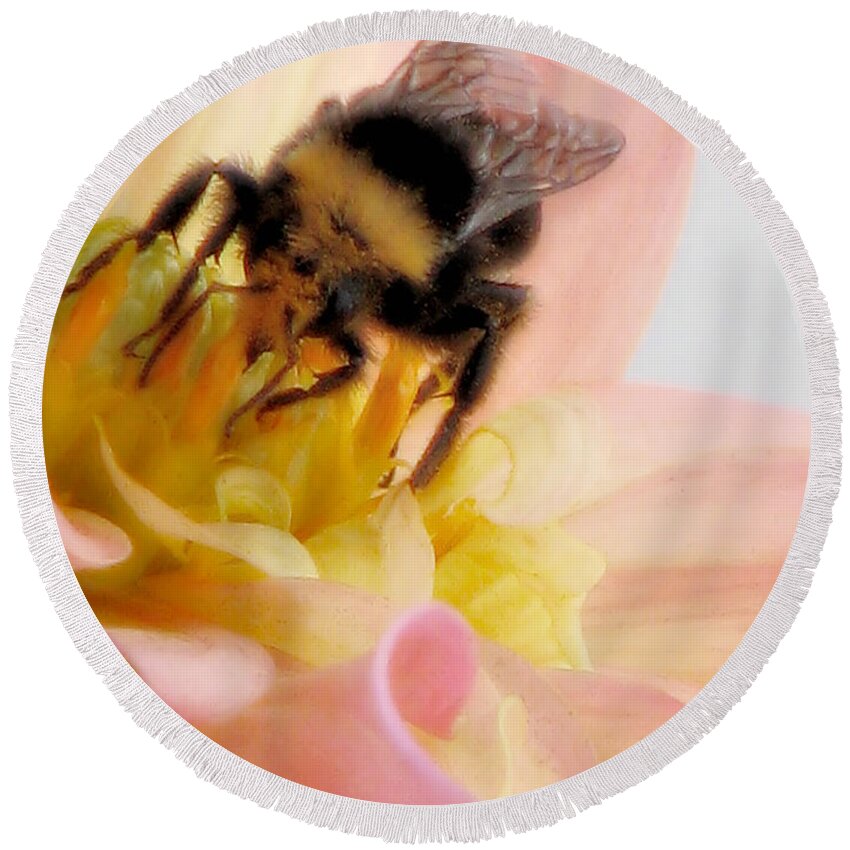 Bee Round Beach Towel featuring the photograph Ambrosia by Rory Siegel
