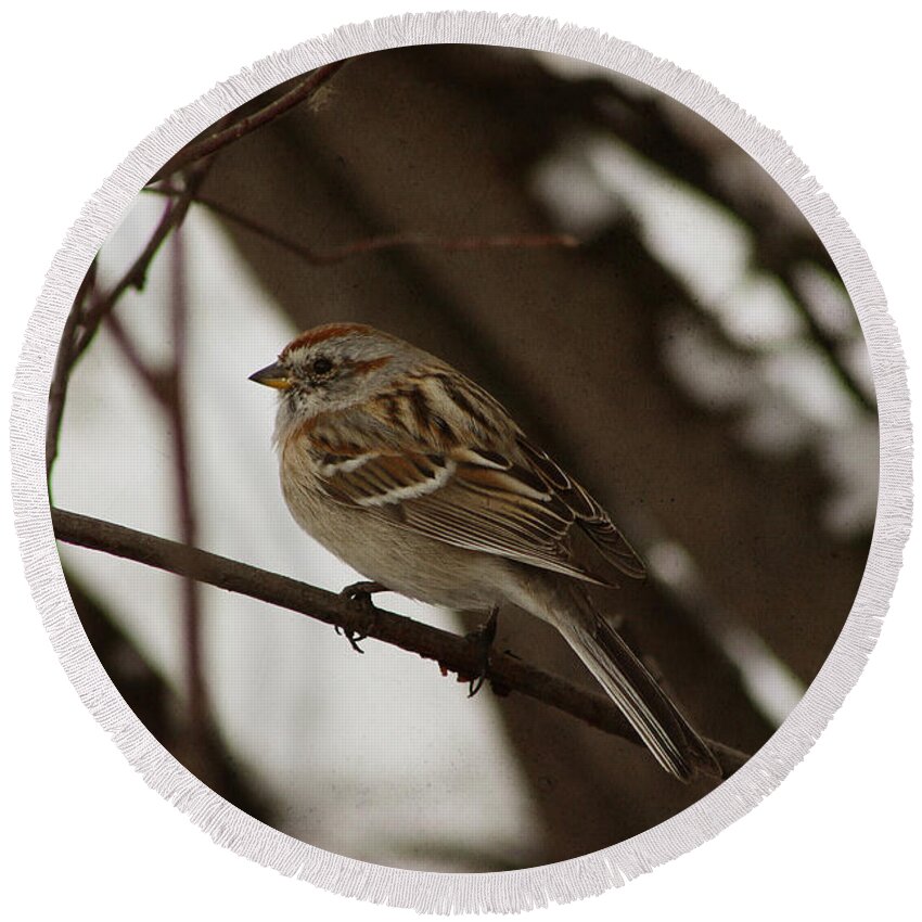 Bird Round Beach Towel featuring the photograph American Tree Sparrow by Alyce Taylor
