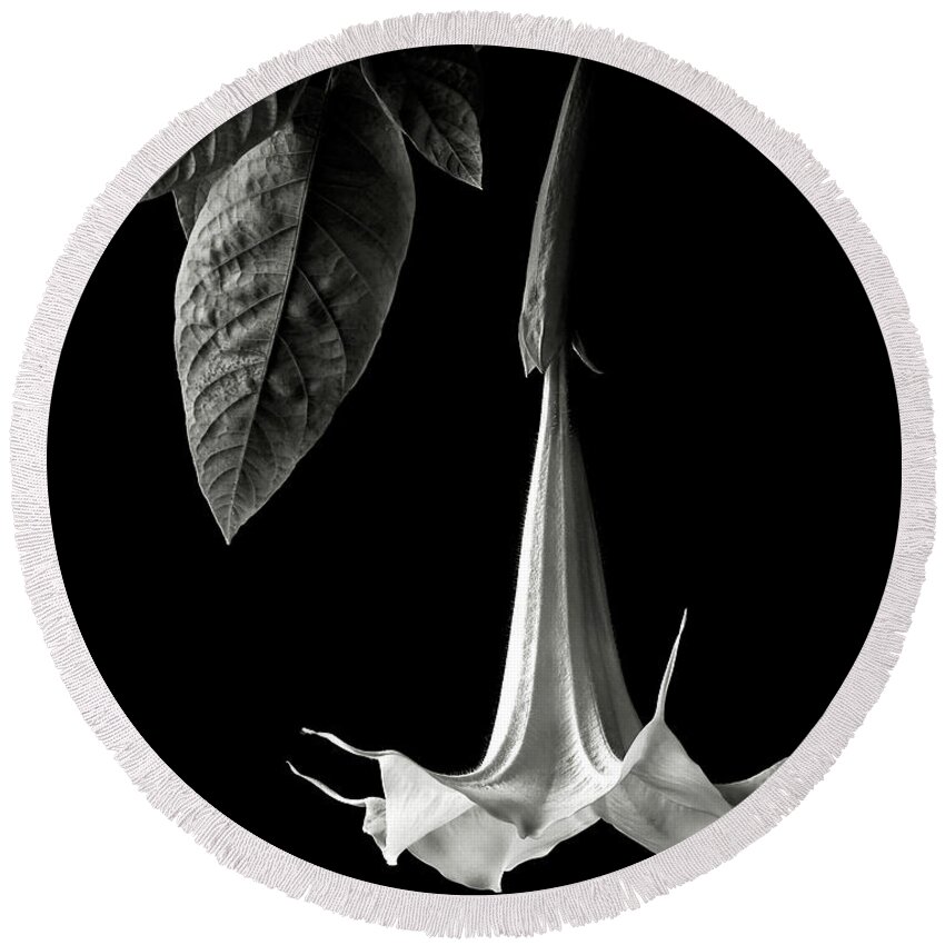 Flower Round Beach Towel featuring the photograph Angel Trumpet in black and White by Endre Balogh