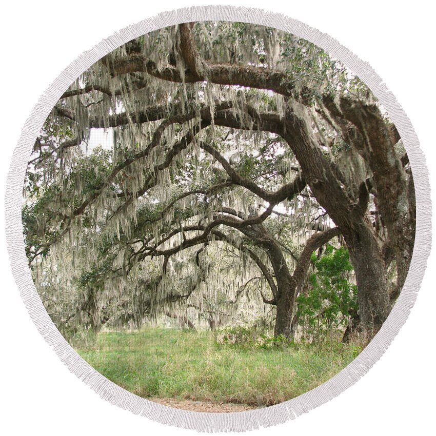 Nature Round Beach Towel featuring the photograph Arching Oaks by Peggy Urban