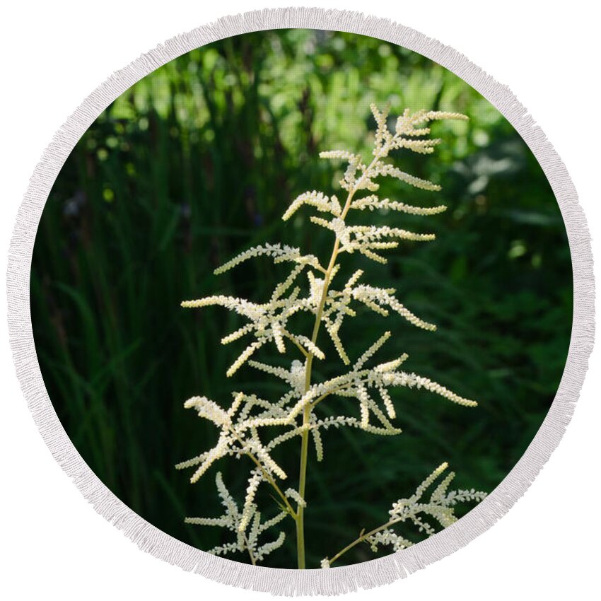 Close-up Round Beach Towel featuring the photograph Aruncus by Michael Goyberg