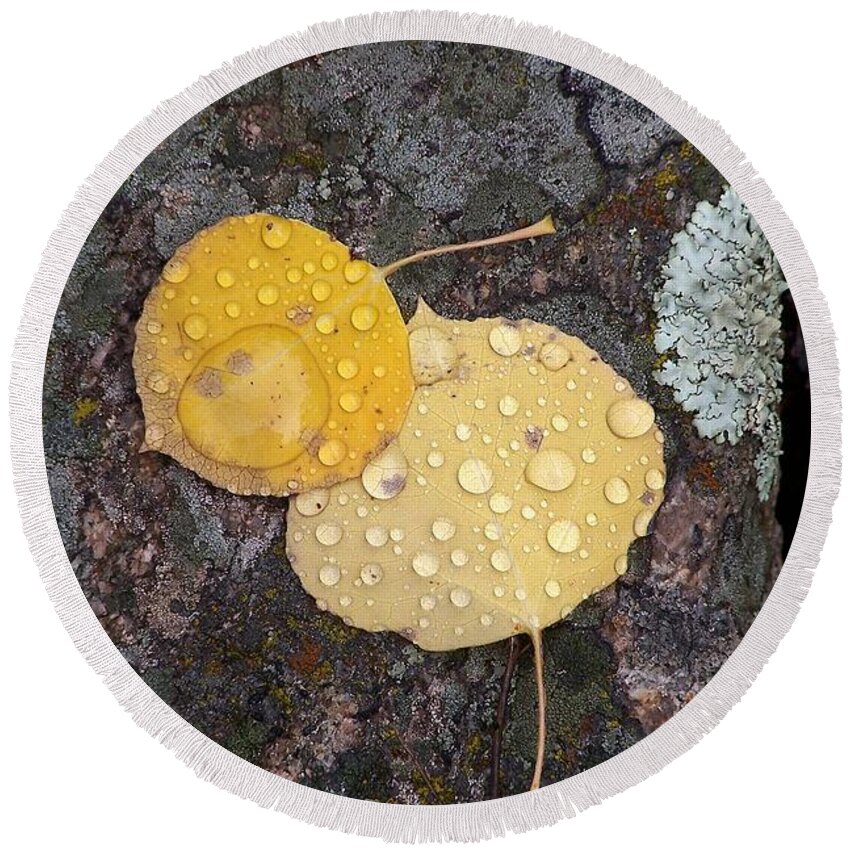 Aspen Leaves Round Beach Towel featuring the photograph Aspen Tears by Dorrene BrownButterfield