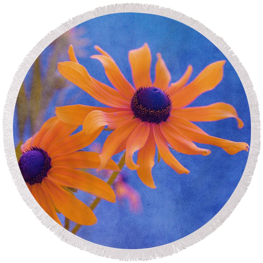 black Eyed Susan Round Beach Towel featuring the photograph Attachement - s11at01d by Variance Collections