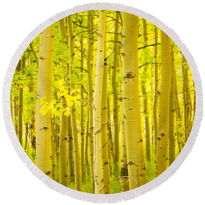 Autumn Round Beach Towel featuring the photograph Autumn Aspens Vertical Image by James BO Insogna