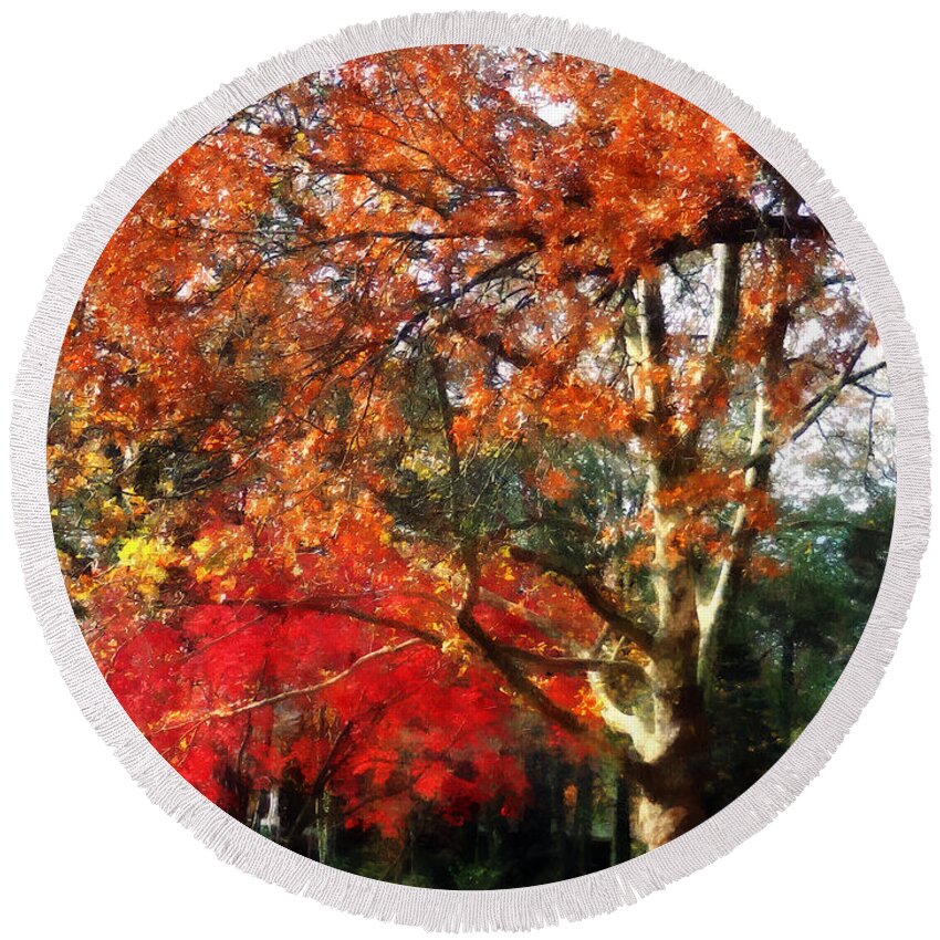 Sycamore Round Beach Towel featuring the photograph Autumn Sycamore Tree by Susan Savad